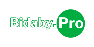 bidaby.pro (1)